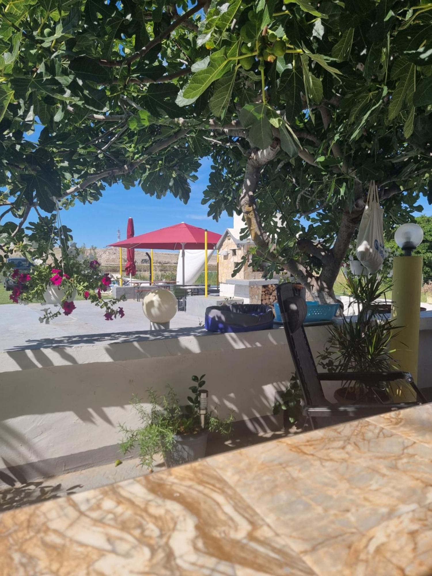 Apartmani Alen Dinjiška Exteriör bild