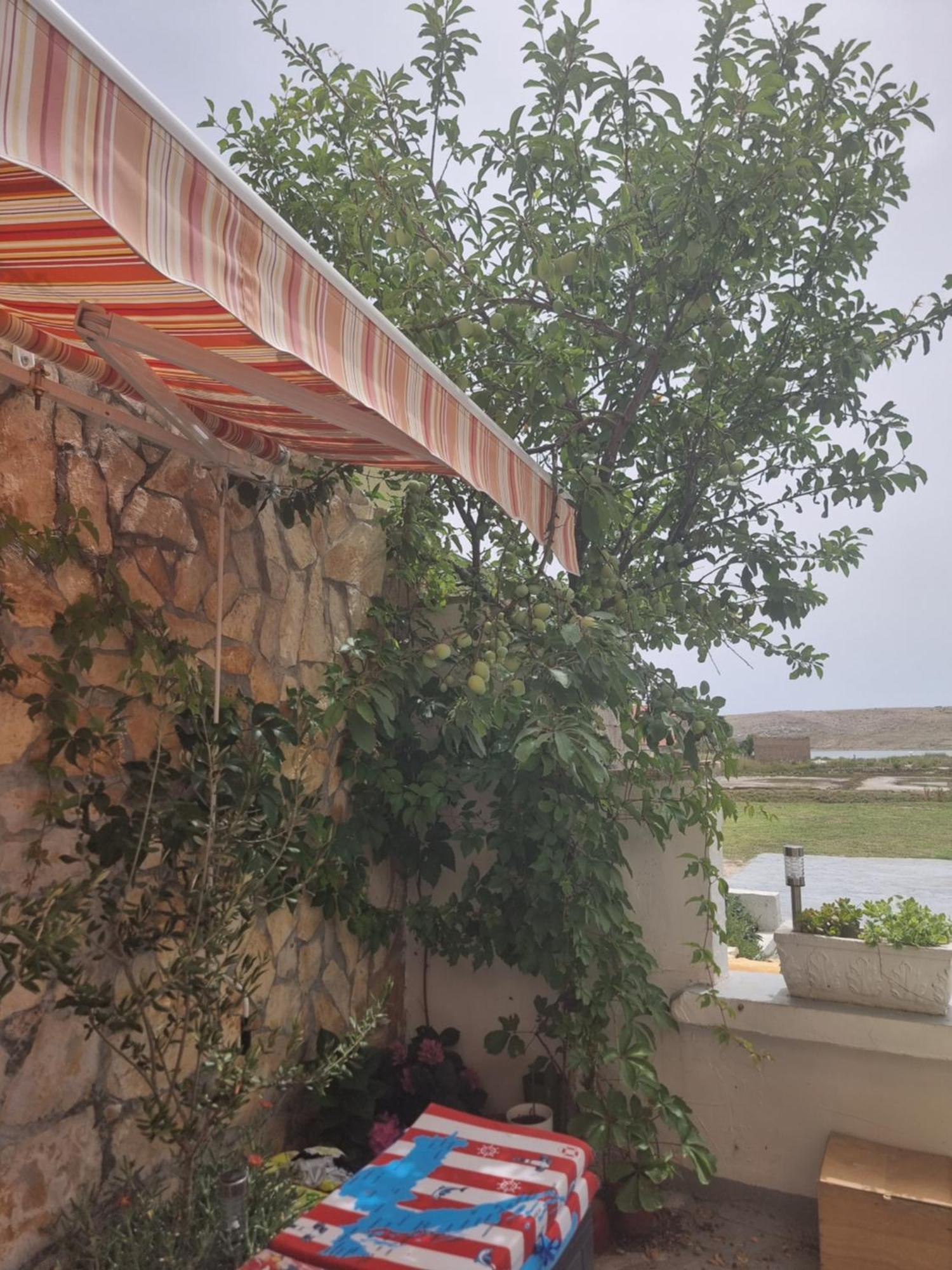 Apartmani Alen Dinjiška Exteriör bild